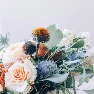 Meet your Posher, Yicaurys